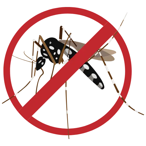 Mosquito Control