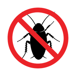 Pest Control Services Icon Pest Control Services Icon