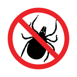 Flea & Tick Control Icon Flea & Tick Control Icon