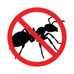 Ants & Wasps Control Icon Ants & Wasps Control Icon