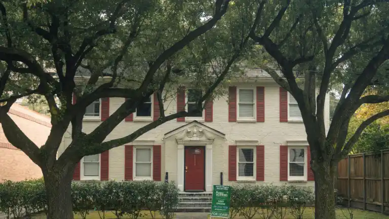 Wooded property conditions that attract termites in Southeast Texas